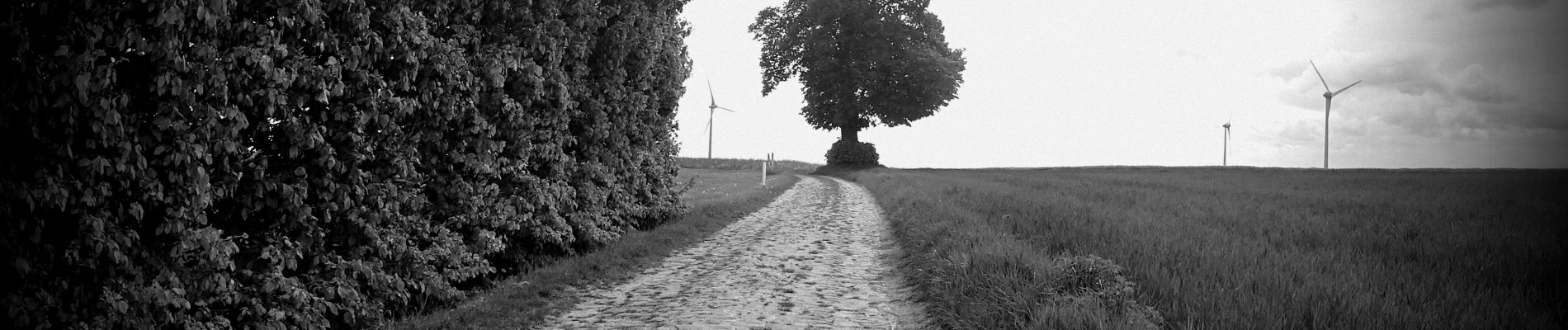 Excursión Bici de montaña Charleroi - Genappe_20200503_095858 - Photo