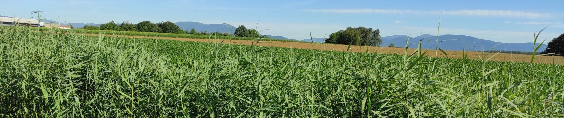 Tour Wandern Heimsbrunn - heimsbrunn - Photo