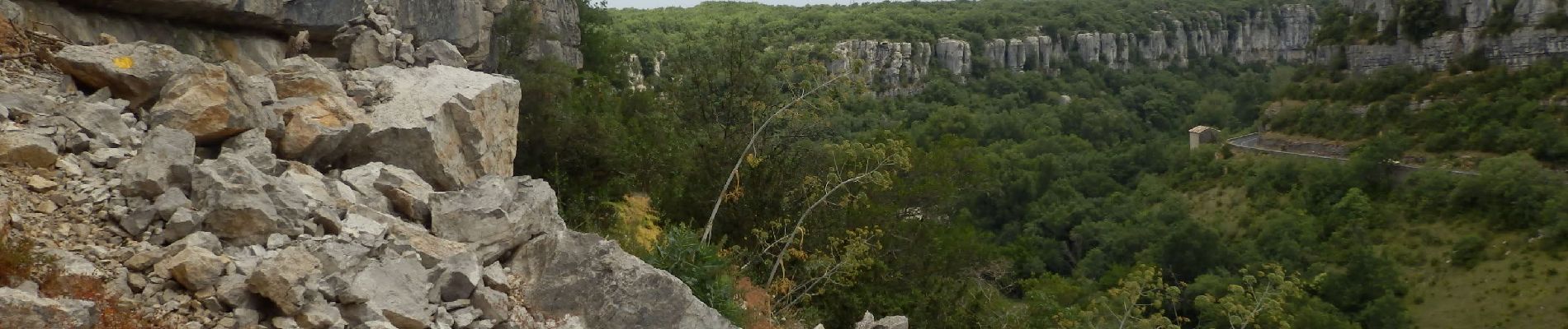 Trail Walking Pradons - Pradons Gens Abeille 18km - Photo