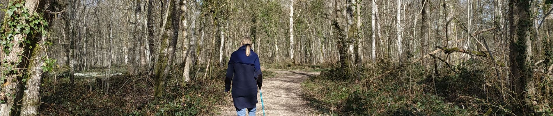 Randonnée Marche Vauchassis - Bois de Ferrieres - Photo