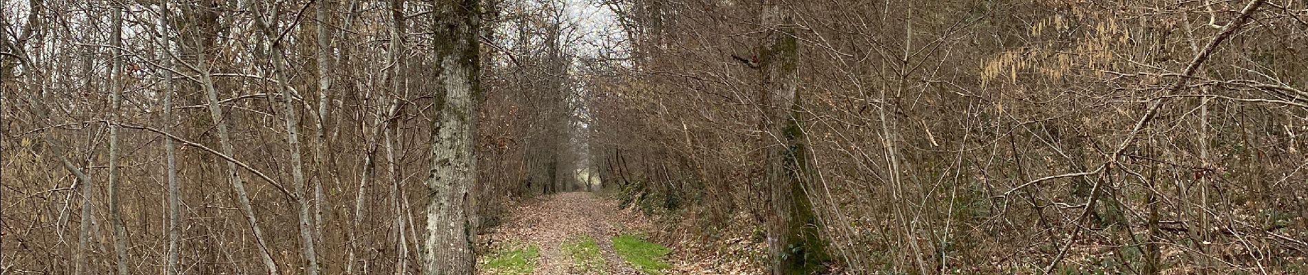 Tocht Stappen Gourdon - Moulin du Bost - Photo