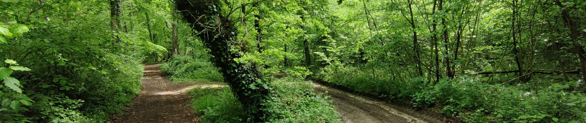 Excursión Bici de montaña Morgny-la-Pommeraye - m23 - Photo