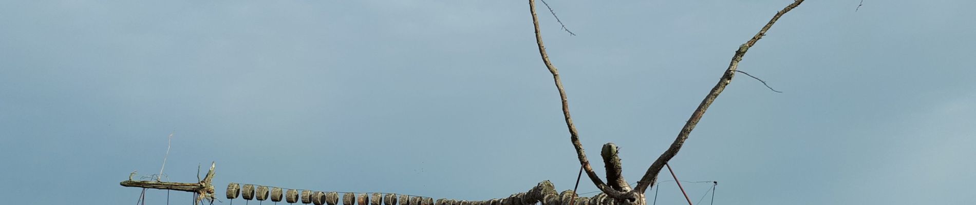 Tour Wandern Gesves - Vallée du Samson - Photo