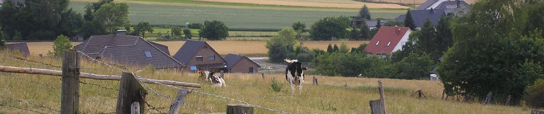 Tocht Te voet Lübbecke - A3 Preußisch Oldendorf-Holzhausen - Photo