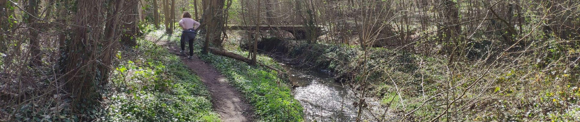 Excursión Senderismo Villiers-le-Bâcle - Gif 2021 : Mérantaise 0 - Photo