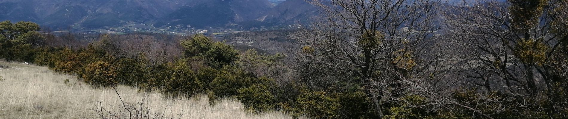 Tour Wandern Roche-Saint-Secret-Béconne - le rocher des aures  - Photo