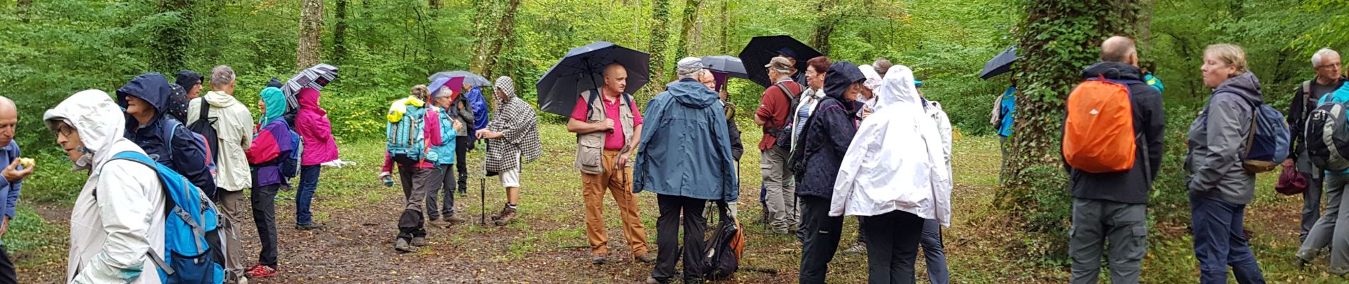 Tour Wandern La Brède - La Brede - Photo