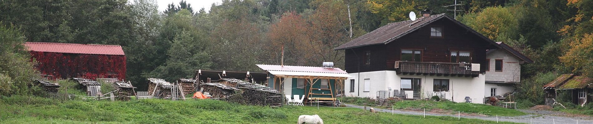 Tour Zu Fuß Lichtenfels - Bucher Weg (Buch am Forst) - Photo