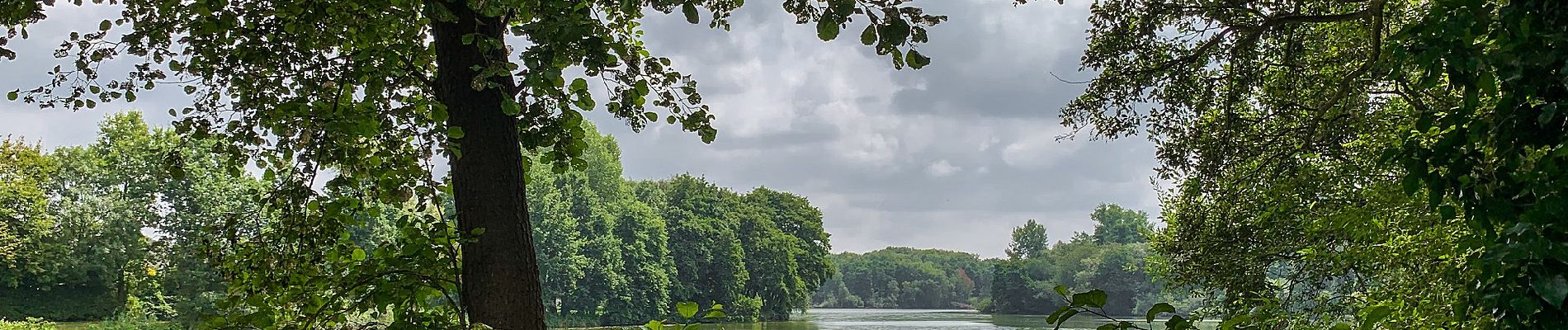 Tour Zu Fuß Nettetal - Rundweg A3 Nettebruchsee - Photo