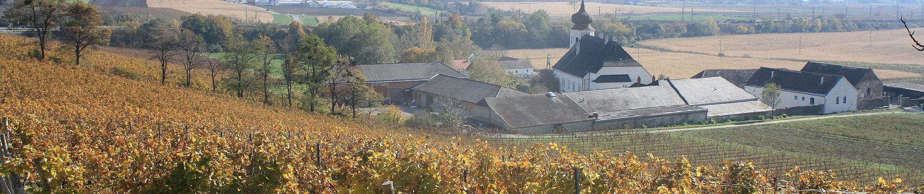 Percorso A piedi Gemeinde Guntramsdorf - Rauch Immobilien Runde (Guntramsdorf) - Photo