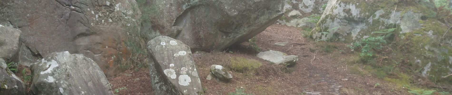 Randonnée Marche Arbonne-la-Forêt - arbonne-chanfroy 20 mai 2022  - Photo