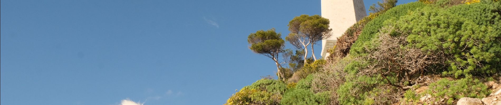 Trail Walking Saint-Jean-Cap-Ferrat - Cap Ferrat - Photo