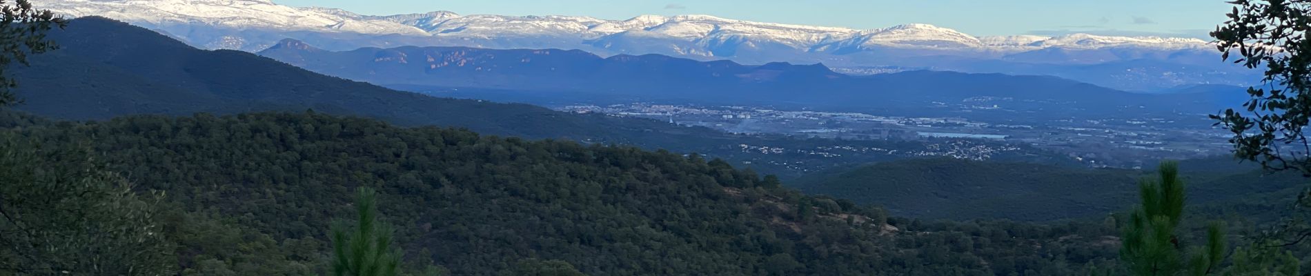 Randonnée Marche Roquebrune-sur-Argens - Le Peigros depuis le Bougnon - Photo