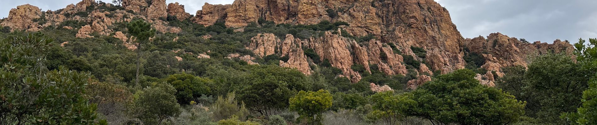 Randonnée  Saint-Raphaël - Déambulation Esterel  - Photo