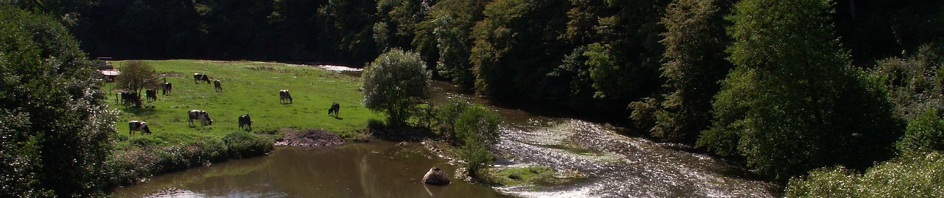 Tour Zu Fuß Waxweiler - Devon-Pfad - Photo