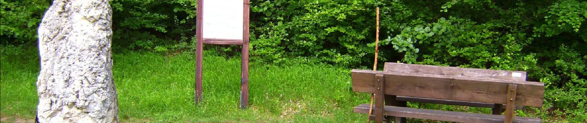 Tour Zu Fuß Obertrubach - Geschwand Rundwanderweg Signalstein - Photo