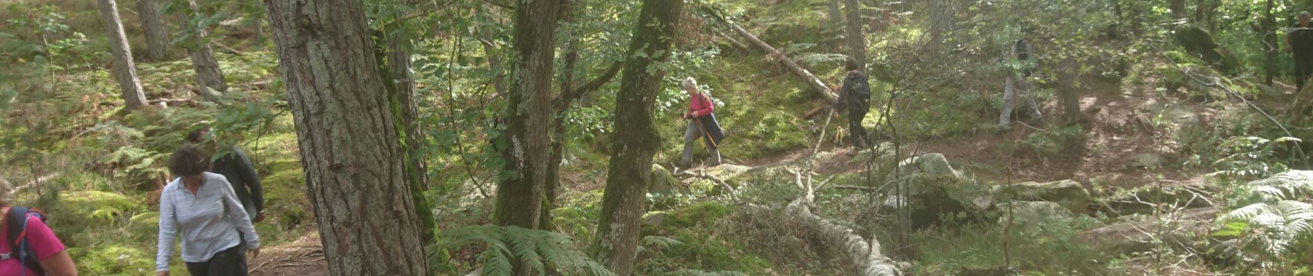 Tocht Stappen Fontainebleau - sambine 28 septembre 2021  - Photo