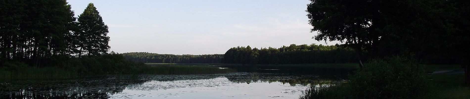 Tocht Te voet Miłomłyn - Ścieżka spacerowa - Photo