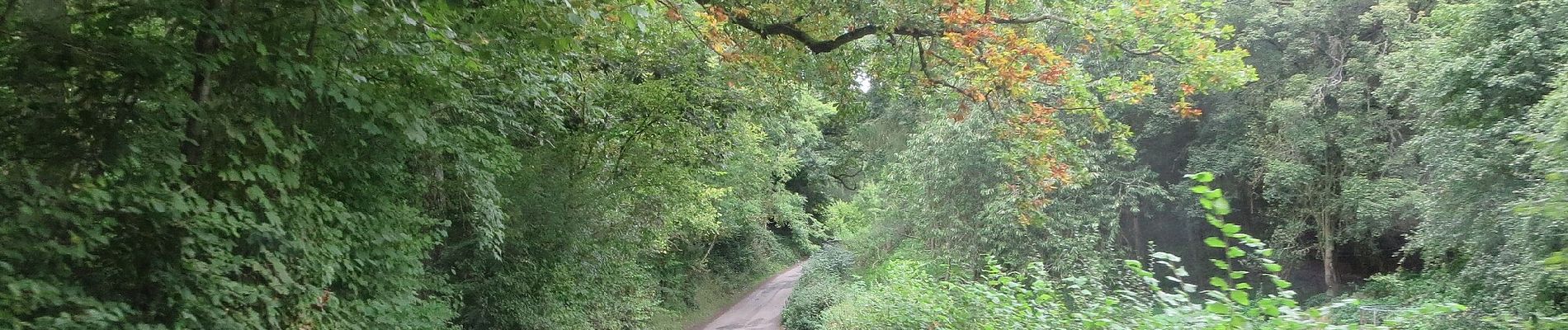 Trail On foot Unknown - Wigmore Loop - Photo