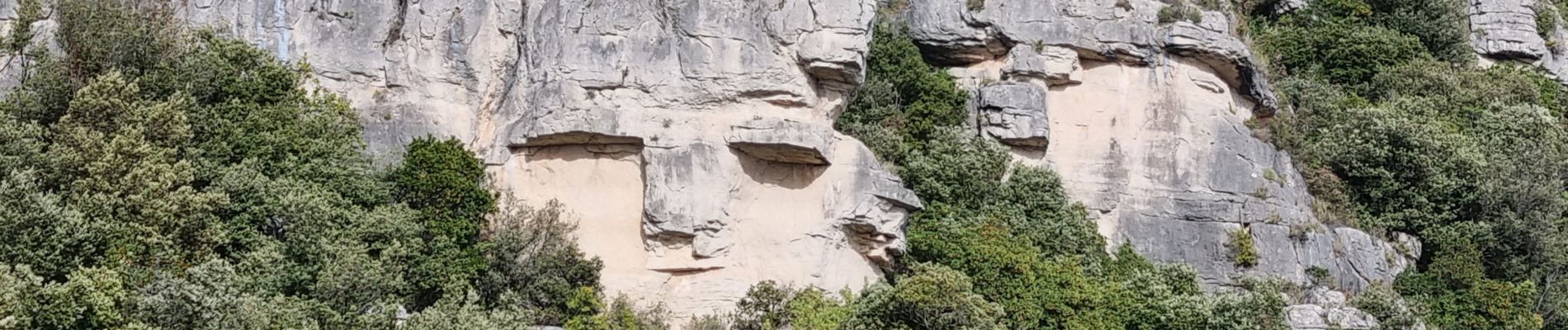 Randonnée Marche Méounes-lès-Montrieux - Bergerie des Maigres by DAL - Photo