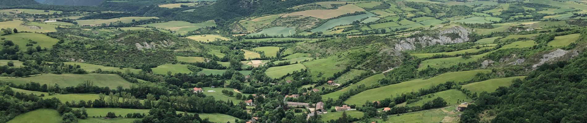 Tocht Stappen Saint-Jean-et-Saint-Paul - St jean alcas cornus  - Photo