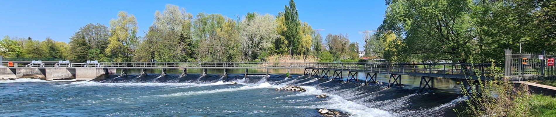 Randonnée Marche Strasbourg - Histoires d'eaux.... et de forêts au nord de Strasbourg - Photo