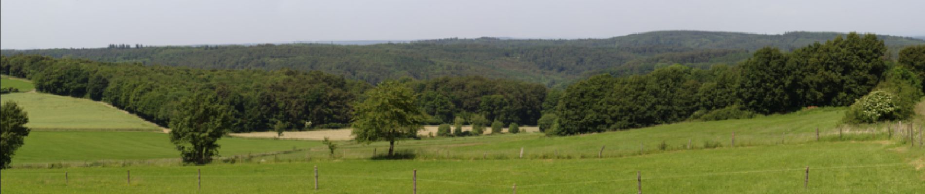 Tour Zu Fuß Gemünden (Felda) - Homberg-Felda Anschluss - Photo