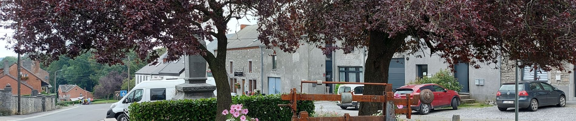 Randonnée Marche Florennes - Marche des bergeots - Photo