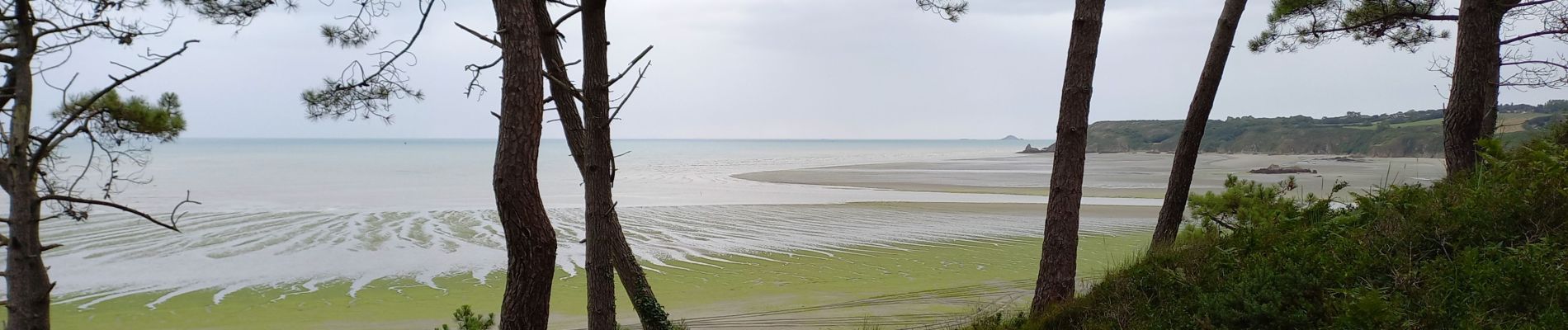 Trail Walking Hillion - Anse de Morieux (Hillion) - Photo