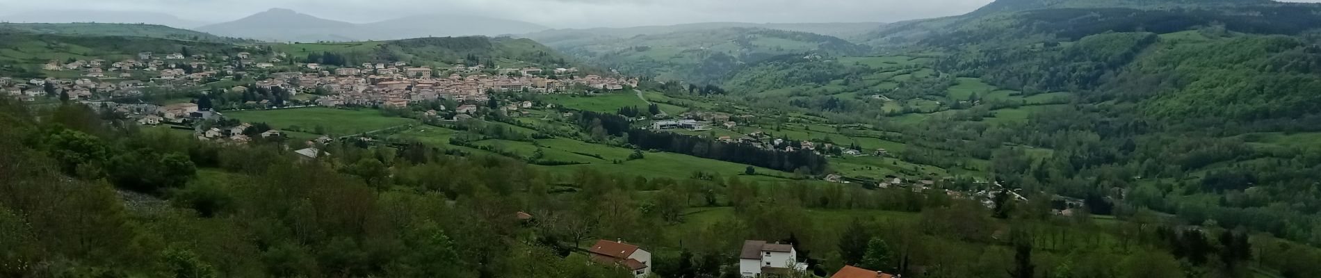 Randonnée Marche Le Puy-en-Velay - 1 Stevenson Le Puy en Velay - Le Monastier sur Gazeille - Photo