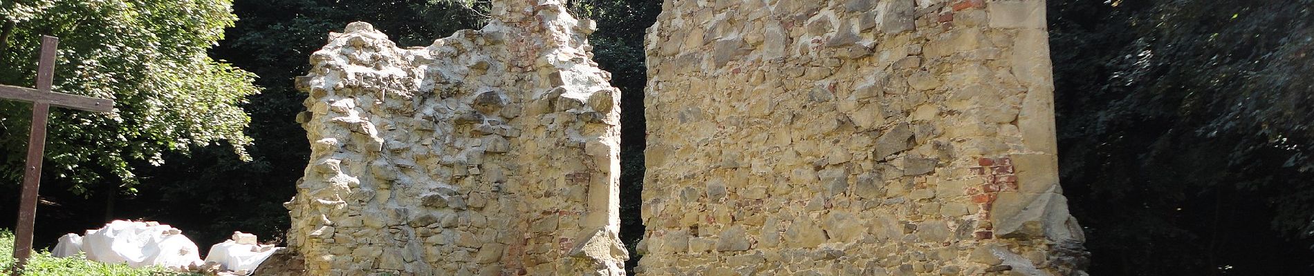 Tocht Te voet Gemeinde Sieghartskirchen - Ried am Riederberg - In der Au über Klosterruine - Photo