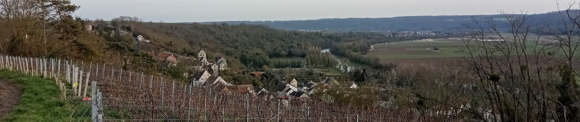 Tocht Stappen Crouttes-sur-Marne - Crouttes-sur-Marne du 13-02-2022 - Photo