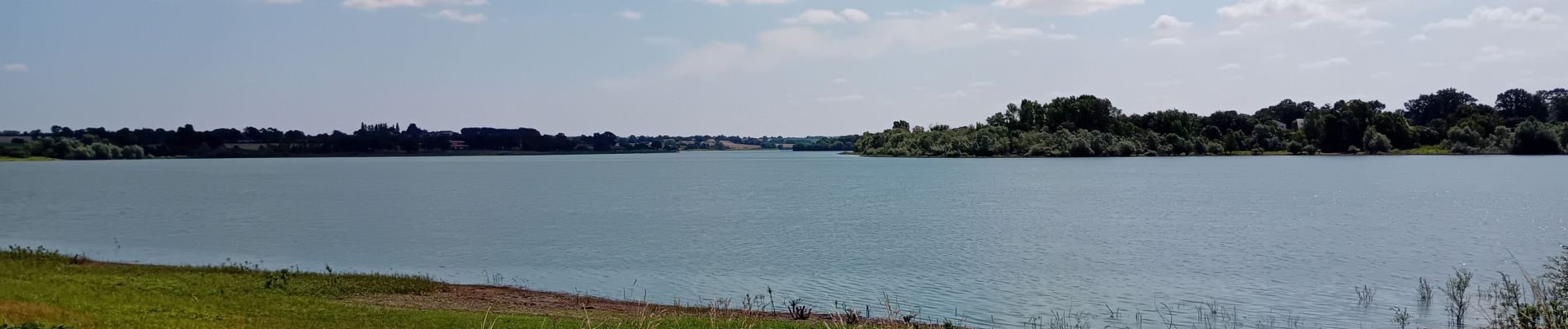 Tocht Stappen La Tessoualle - Lac de Ribou - Lac de Verdon - Photo