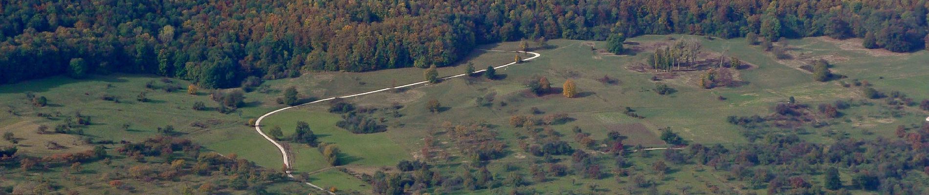 Percorso A piedi Gomadingen - Hoch-Geh-Adelt Abkürzung - Photo