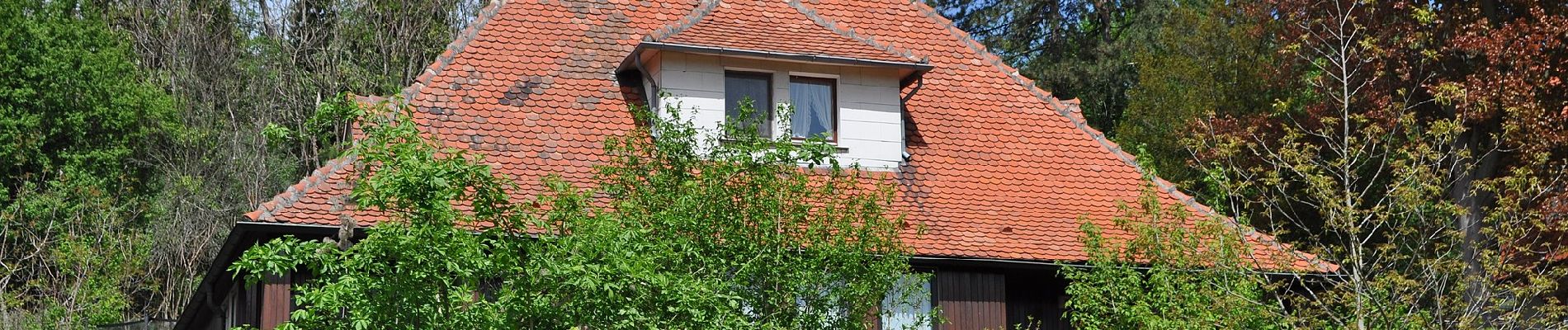 Randonnée A pied Bensheim - Rundwanderweg Bensheim Am Höllberg 2: Goldkauf-Weg - Photo