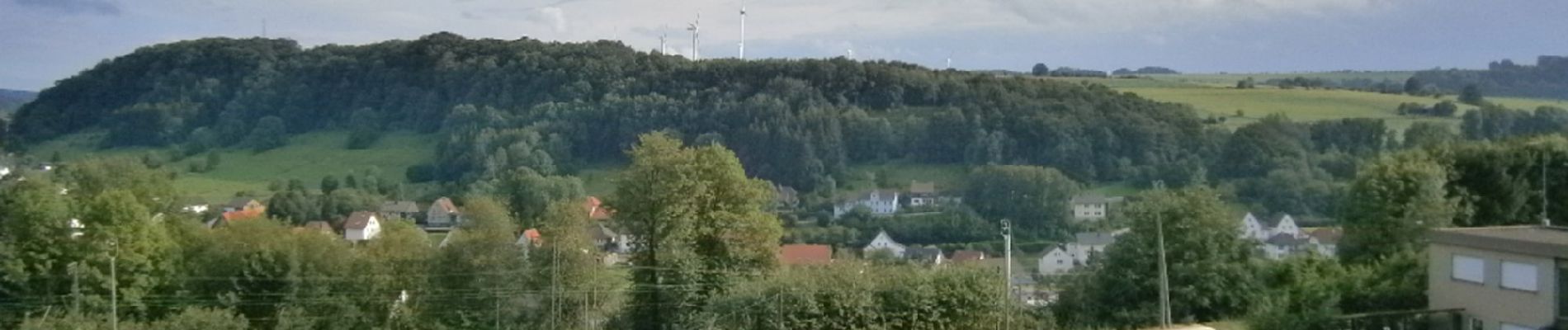 Tocht Te voet Altenbeken - Viadukt-Wanderweg [Altenbeken] - Photo