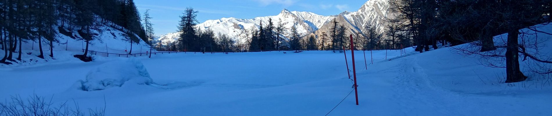 Tocht Sneeuwschoenen Montricher-Albanne - 74-Paradisblanc_BellePlagne_7.3km130m - Photo