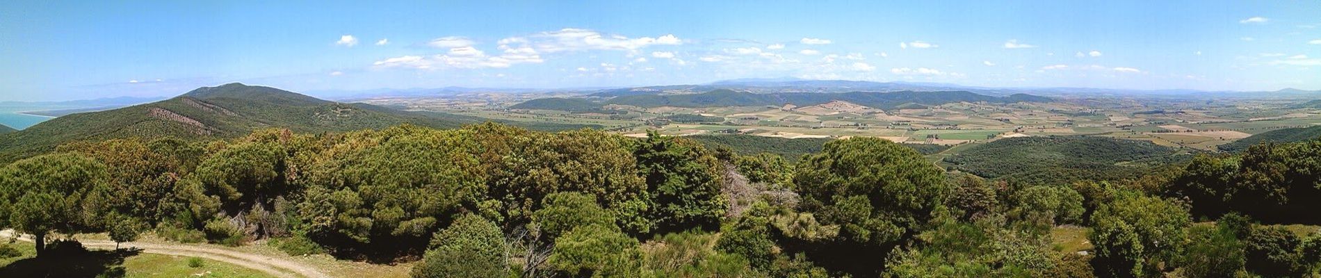 Excursión A pie Magliano in Toscana - C2 Poggioalle Sugherine - Photo