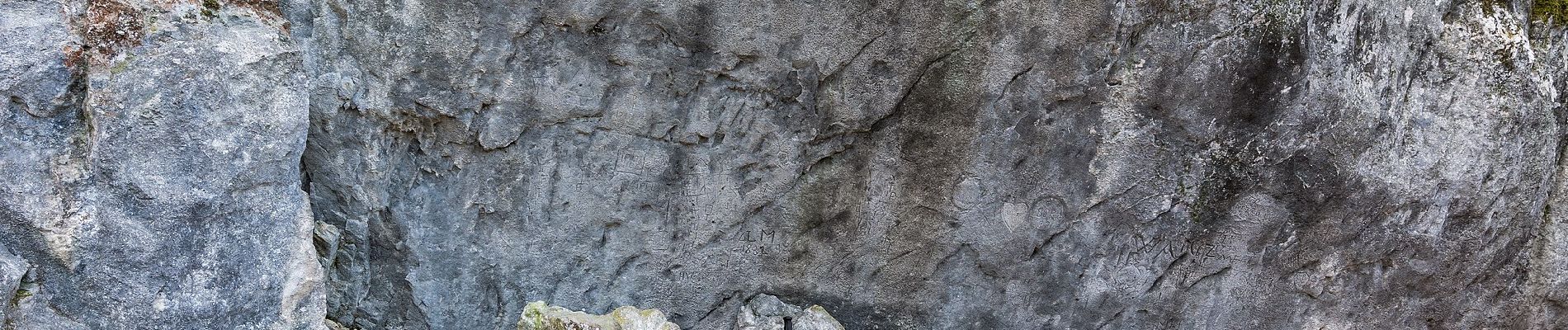 Randonnée A pied Traunkirchen - Buchberg - Mühlbachberg - Zellerlweg - Traunkirchen Ort - Photo