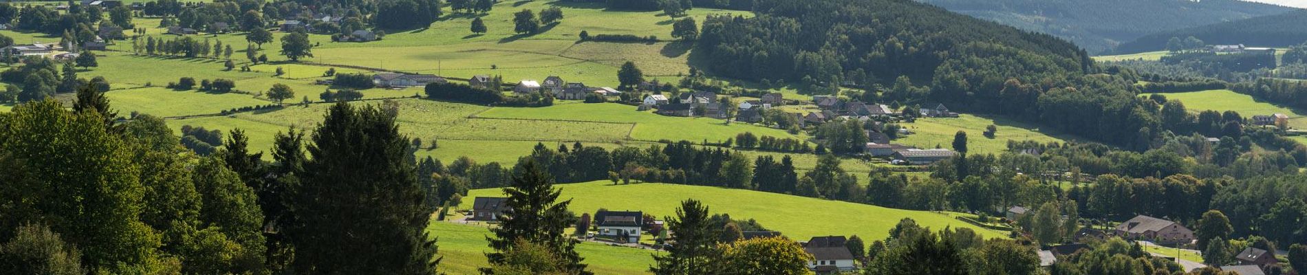 Tour Mountainbike Malmedy - Sur la voie verte - Photo