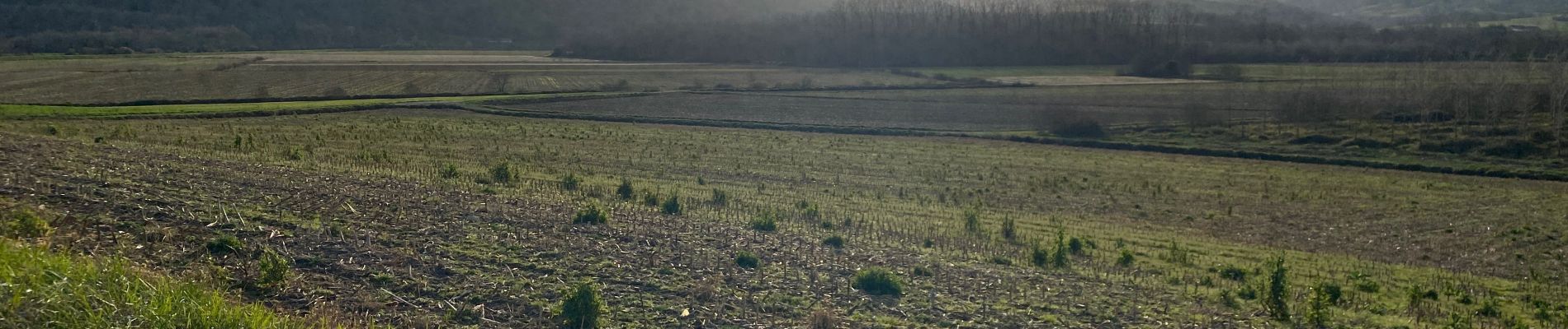 Tocht Stappen Hastingues - Long de la Bidouze - Photo