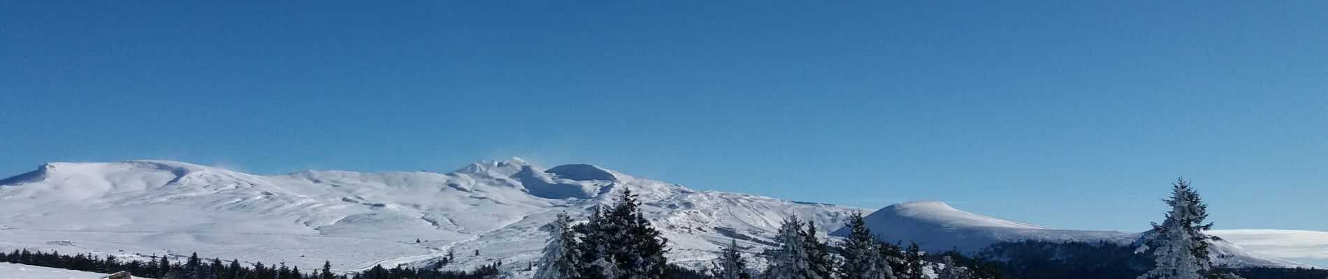 Tocht Sneeuwschoenen La Tour-d'Auvergne - Chastreix11-01-24 - Photo