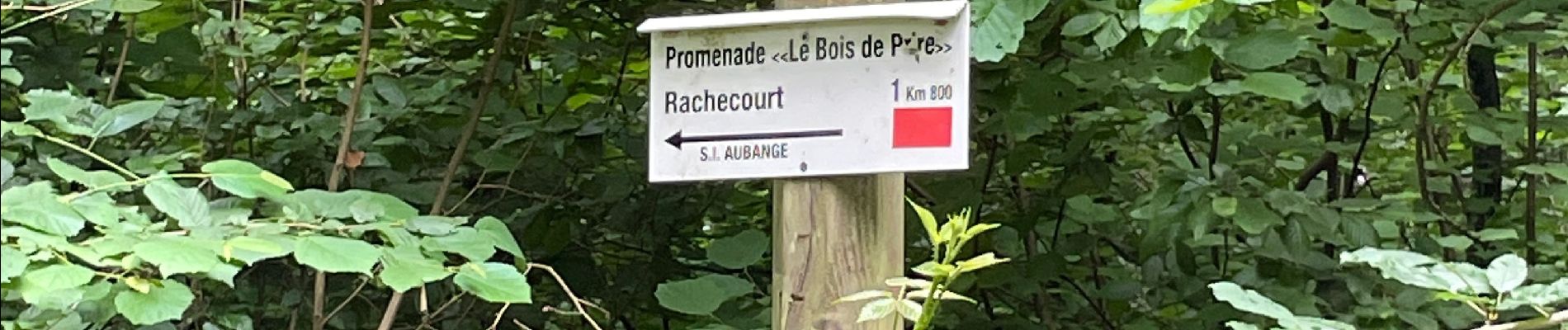 Percorso Marcia Aubange - Rachecourt  - Photo