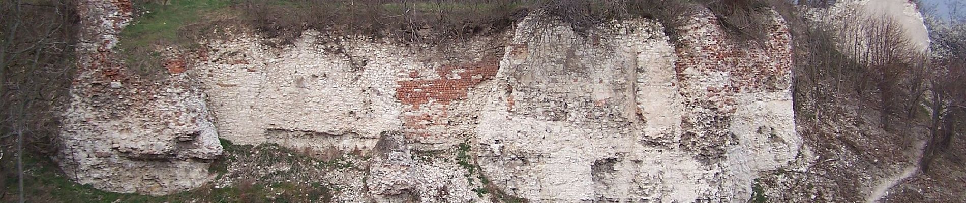 Percorso A piedi Lipsko - Solec nad Wisłą - Photo