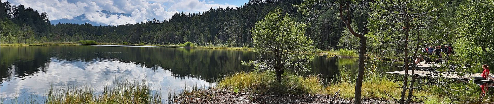 Trail On foot Seeboden am Millstätter See - 23: Samkt Wolfgang - Egelsee - Photo