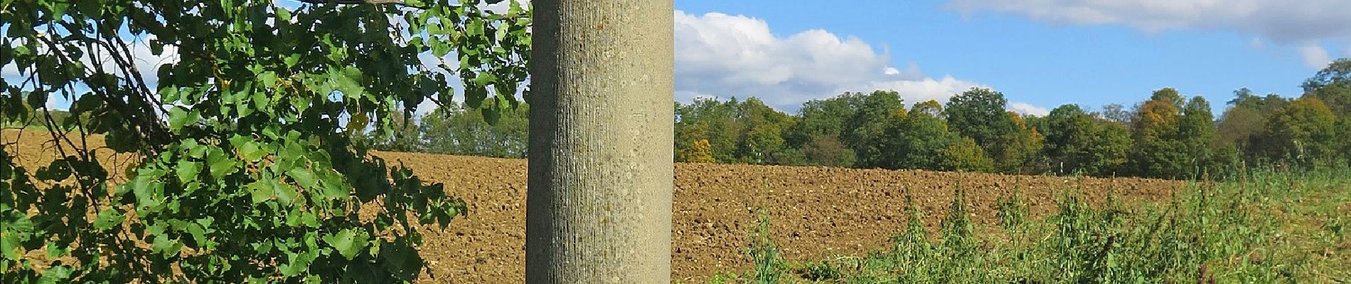 Tour Zu Fuß Haßfurt - Lauftour HAS1 - Photo