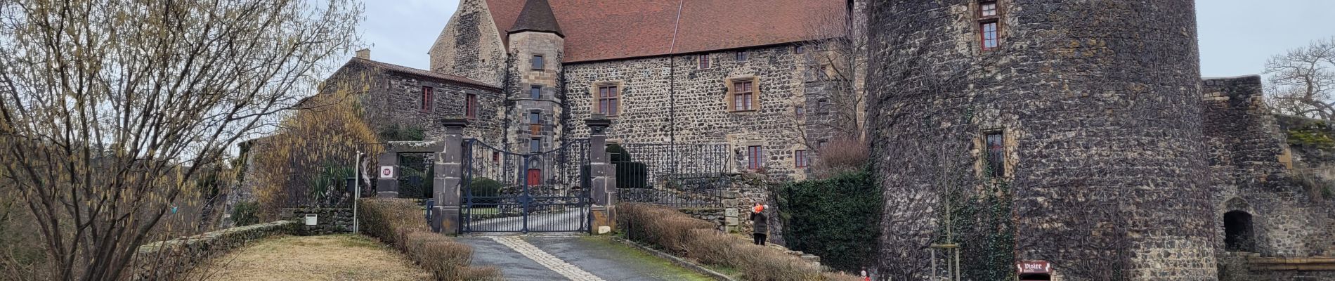 Tocht Stappen Saint-Amant-Tallende - St Amant  Tallende Puy Peyronère - Photo