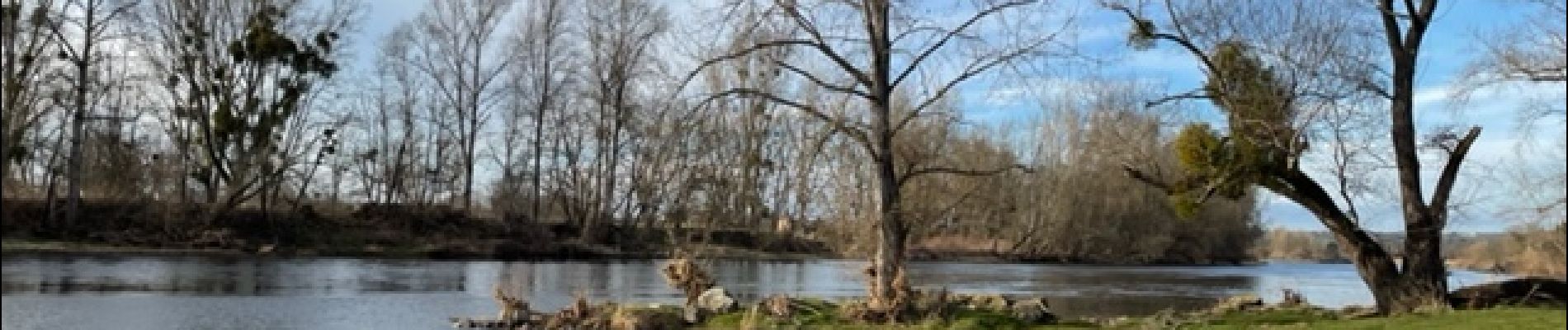 Trail Walking Vougy - Vougy : Pouilly-sous-Charlieu et rives de Loire  - Photo