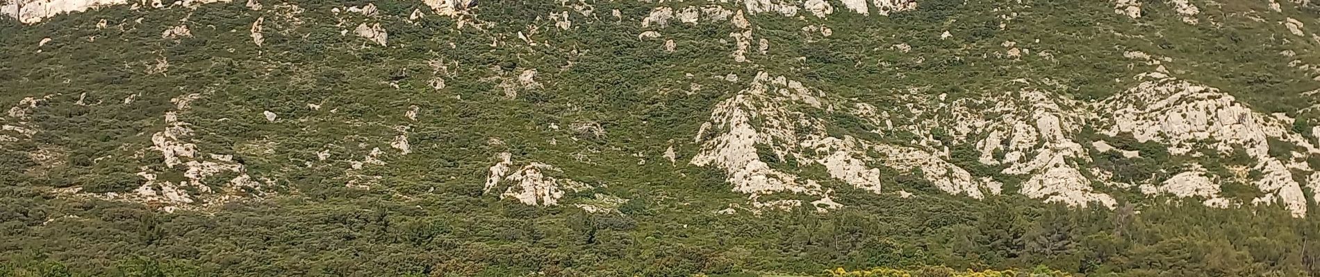 Randonnée Marche Eyguières - Tour des Opies - Photo