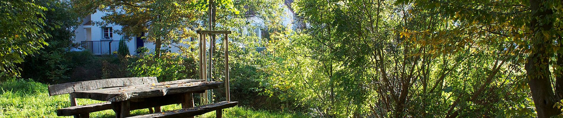 Trail On foot Embrach - Embrach Oberdorf - Oberembrach - Photo